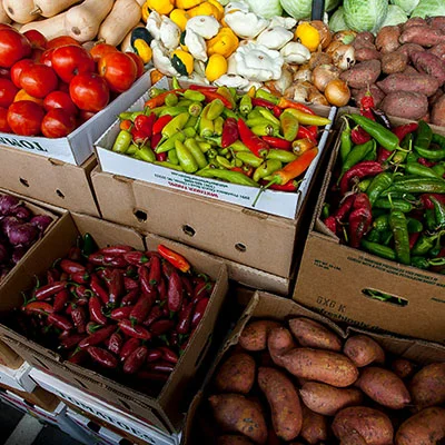 探索Mac版Vmess节点软件：解锁高效网络访问的钥匙